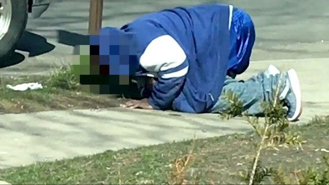 Drug laced with bug spray produces zombie-like effects