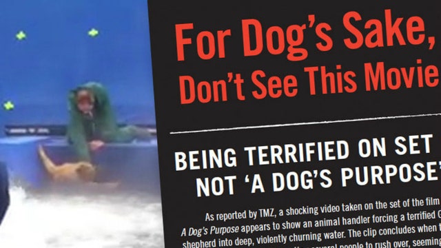 TMZ: PETA rolls out protest flyers for 'A Dog's Purpose,' recruiting protesters