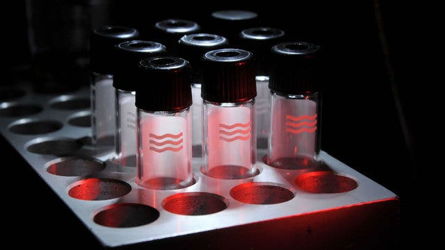 FDA approves second drug to treat ALS