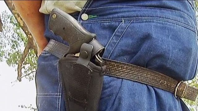 Recent Illinois gun sales breaking monthly records
