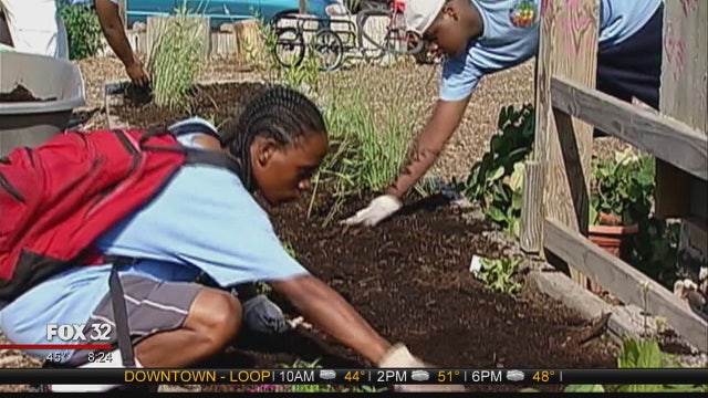 Application process for One Summer Chicago opens