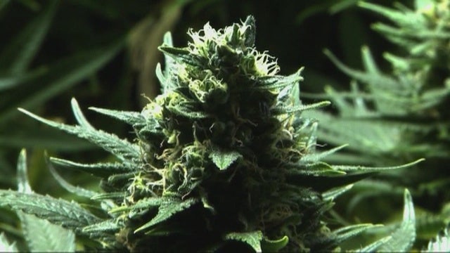 Marijuana extract helps some kids with epilepsy, study says