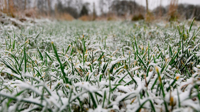 Possible snow in Chicago area Monday precedes roller-coaster temps this week