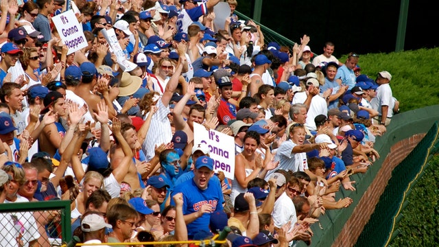 Chicago Cubs fans named best in the world
