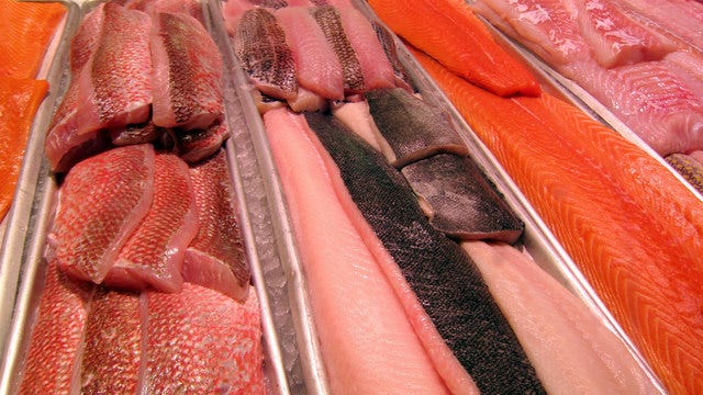 Eating fish weekly raises IQ by almost 5 points in children, study finds