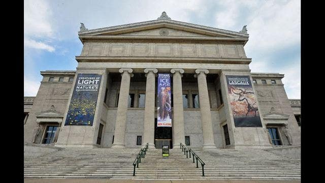 Chicago museums offer free admission for MLK Day