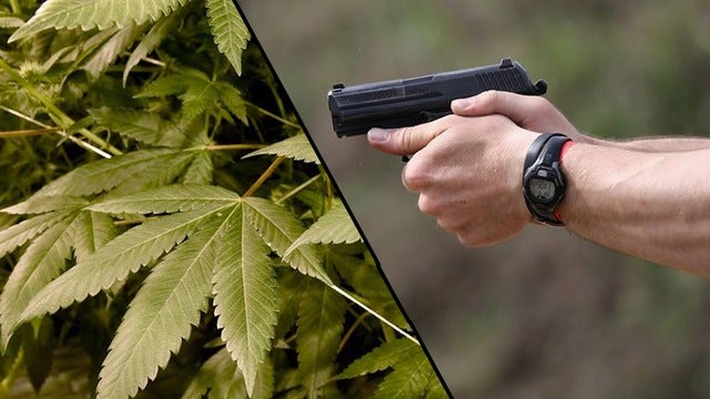 Guns or marijuana? Gun-owning pot smokers must choose one or the other