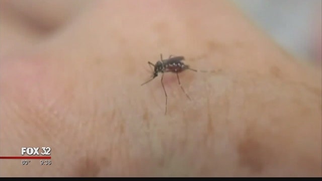 Illinois' 1st West Nile virus case confirmed in Chicago man