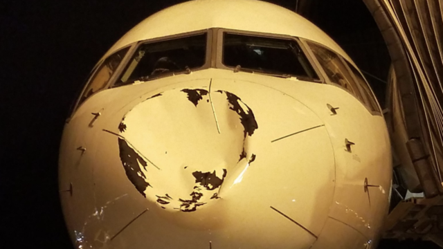 OKC's team plane likely damaged by bird strike en route to Chicago