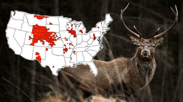 CDC: 'Zombie deer disease' spreading in U.S. could infect humans