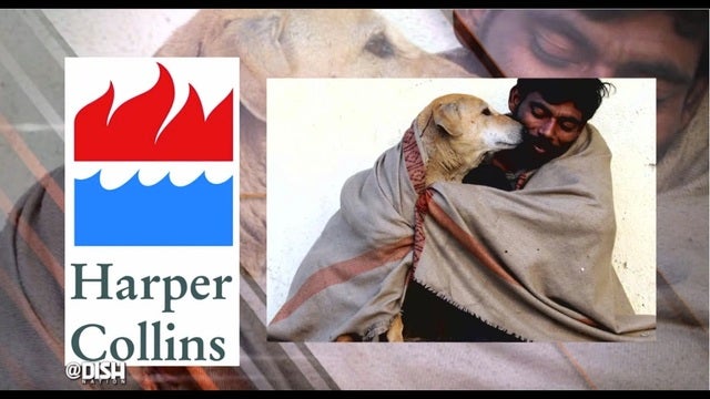 Pawternity leave is an actual thing