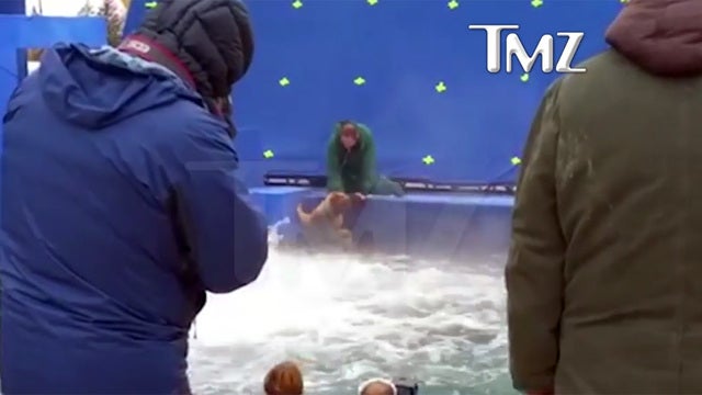 TMZ: Video shows terrified German shepherd forced to film