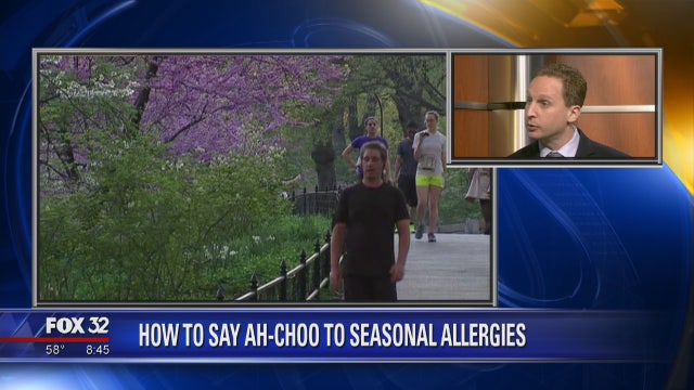 Ways to deal with your allergies