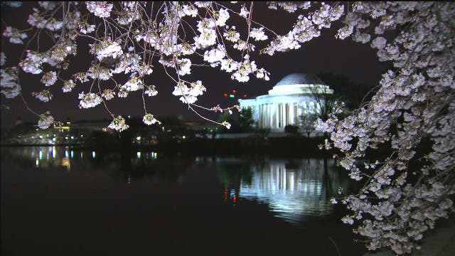 Washington, D.C. police close down streets and bridges to limit crowds visiting cherry blossoms