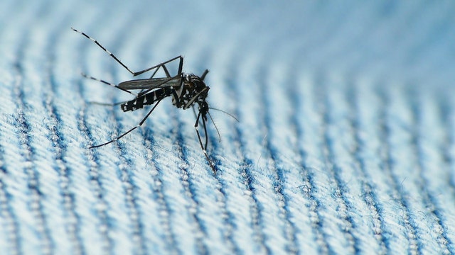 Illinois woman diagnosed with West Nile Virus