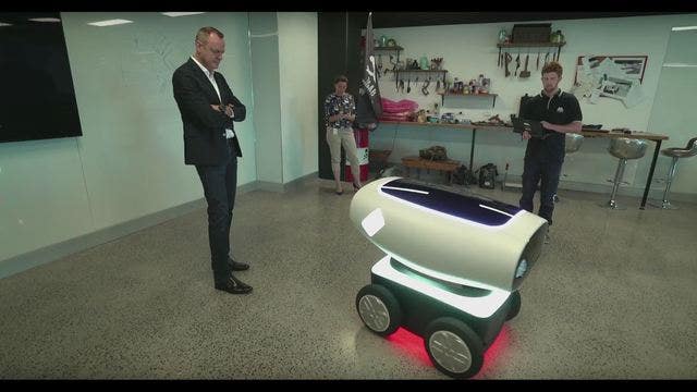 Pizza delivered by a robot
