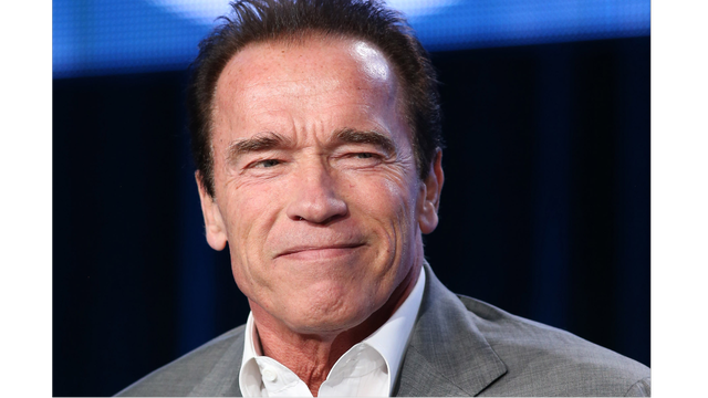 Arnold Schwarzenegger shuts down troll on Special Olympics post