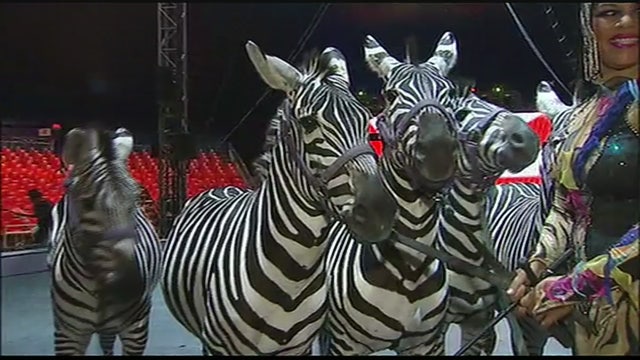 Weekend Fun: UniverSoul Circus at Washington Park