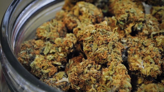 Judge orders intractable pain onto marijuana treatment list