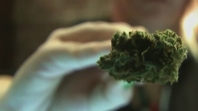 Study: Marijuana not linked to rise in auto fatalities