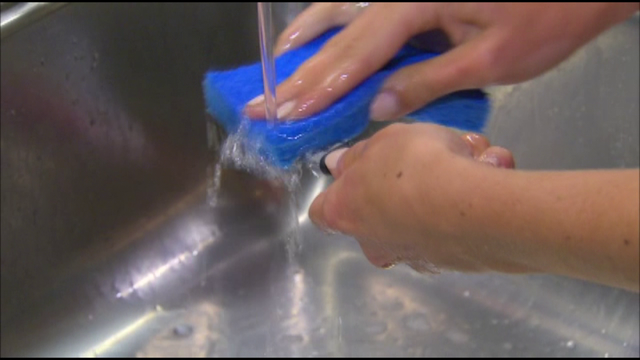Study says kitchen sponges carry more bacteria than toilets