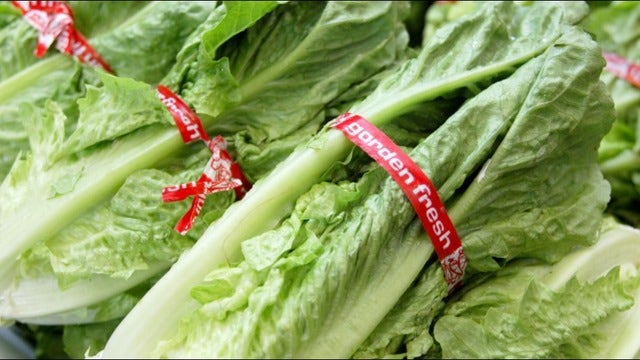 E. coli outbreak now in 11 states