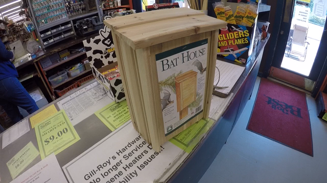 Bat houses may help battle Zika-carrying mosquitoes