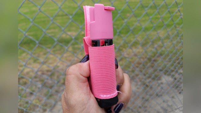 Chicago woman claims stranger pepper-sprayed her dogs while they were in their own yard