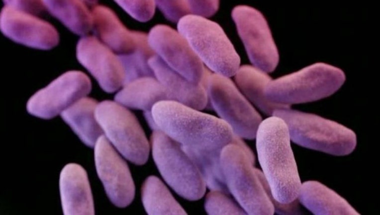 12a26135-cre-superbug_1464351502227.jpg