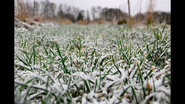 snow.jpg