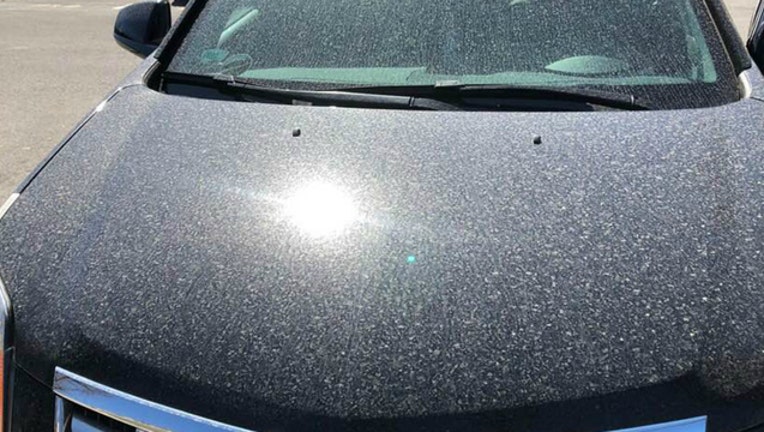 20a1cf62-Dirty car photo courtesy of Lynn McKnight