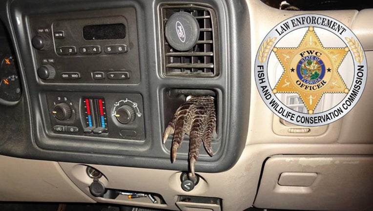 25edefbe-Alligator foot in dashboard-401385