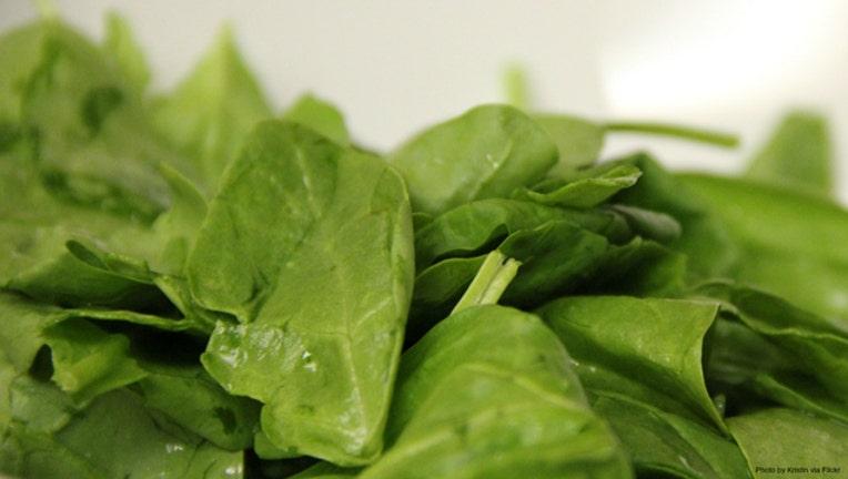 Spinach stock photo