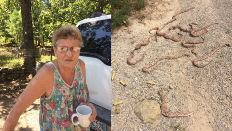 34e17761-snake killer_1501530452703-407068.PNG