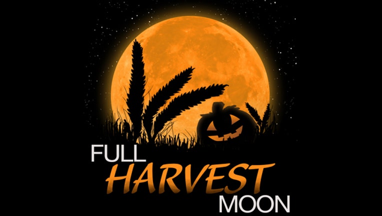 119611_Full_Harvest_Moon_Social_Media_Image_1000x1000_001_1507217104269-401385.jpg