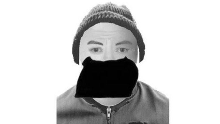 3ccf359b-naperville-bb-gun-suspect_1515192483006.jpg