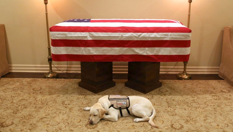 42e14445-Twitter_service dog_120318_1543833394921.jpg-403440.jpg