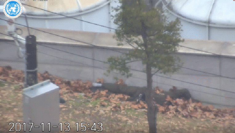 57a9b8d3-NorthKoreanSoldier_1511362122127_4552539_ver1.0_640_360_1511367886910.gif