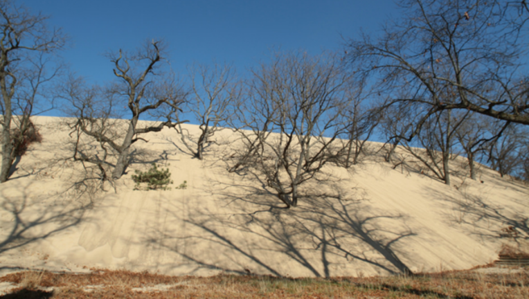 mount-baldy_1460398571095.png