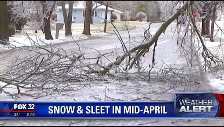 Snow and ice storm brings down trees