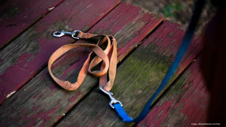 6703e11e-Dog Leash image courtesy of whyamiKeenan via Flickr