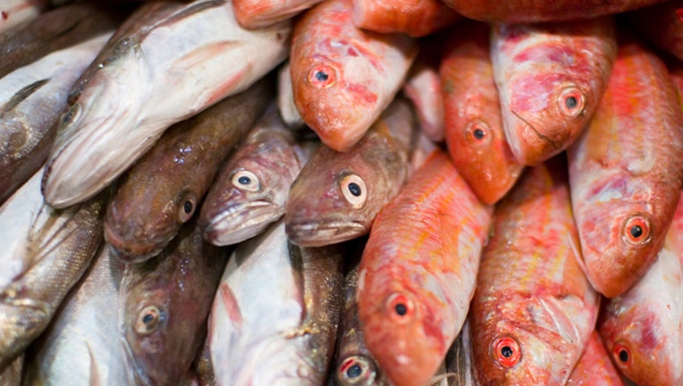 70a21e37-fish-for-sale_1481335423517.jpg
