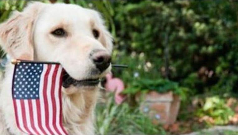 dog-american-flag_1510418913335.jpg
