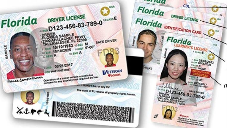 81606c20-Florida-Driver-License-_1553127220213.jpg