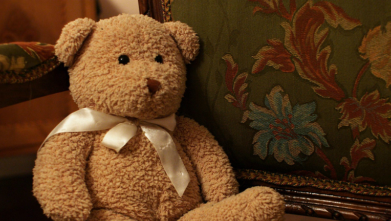 829f400e-teddy-bear_1471209027230.png