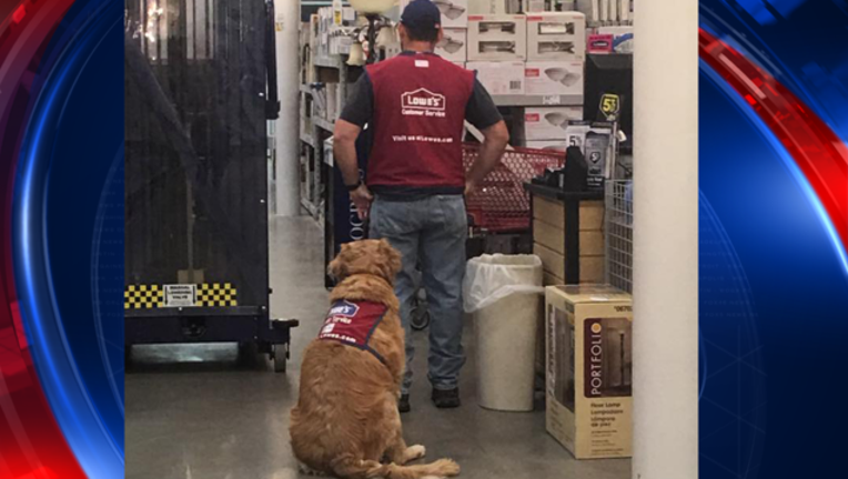 texas lowes dog_1480993575829-409650.png