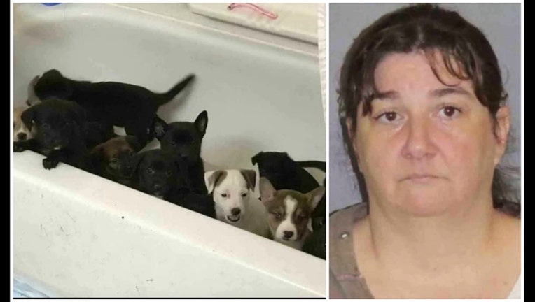 84aae798-Dog rescue fraud suspect Megan Ann Hoechstetter of Pawlosophy