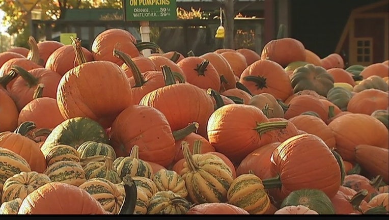 8e524c65-pumpkins_1442410590631.jpg