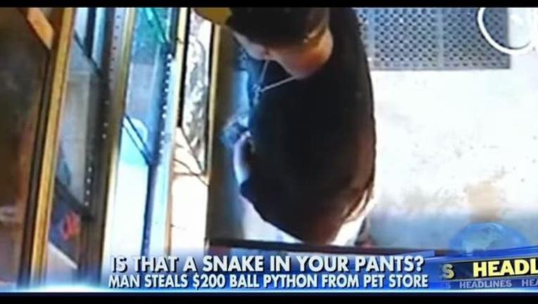 97e8a1d6-python_1452532616880.JPG