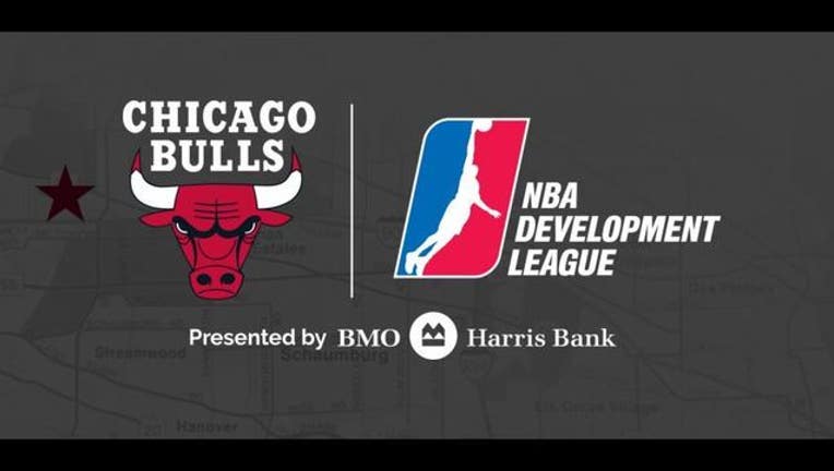 chicago-bulls-d-league